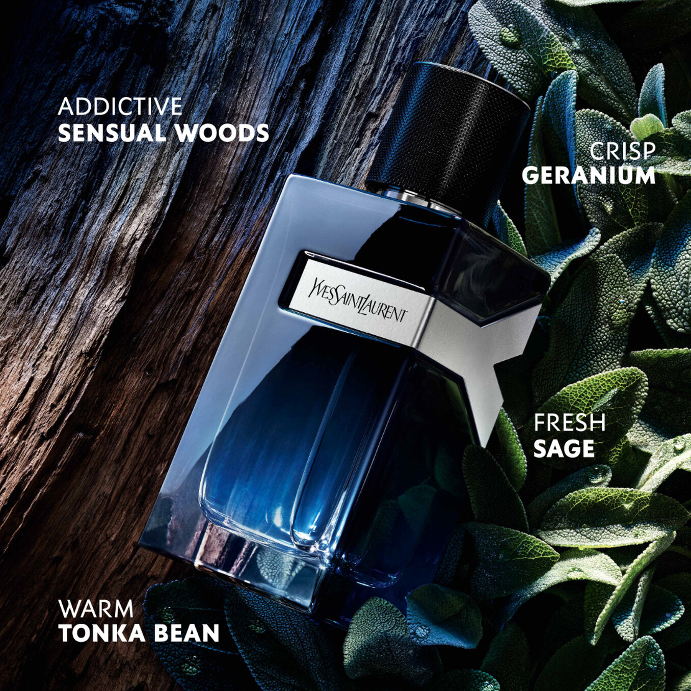 Yves Saint Laurent Y Eau De Parfum